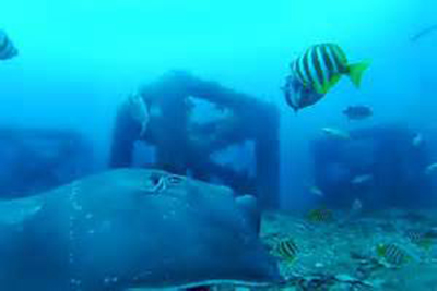Artificial Reef